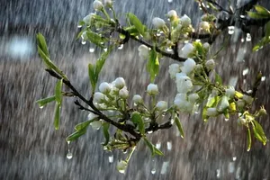ورود سامانه بارشی به کشور طی جمعه