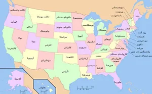 «فدراسیون» چیست؟