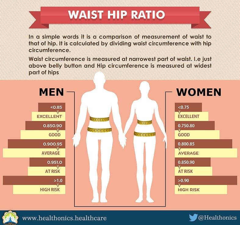 WHR مخفف Waist-to-Hip Ratio است و از تقسیم دور کمر بر دور باسن به دست می‌آید.