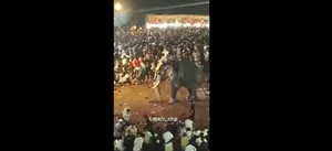لحظه هولناک: پرتاب مرد توسط فیل خشمگین در جشنواره کرالا