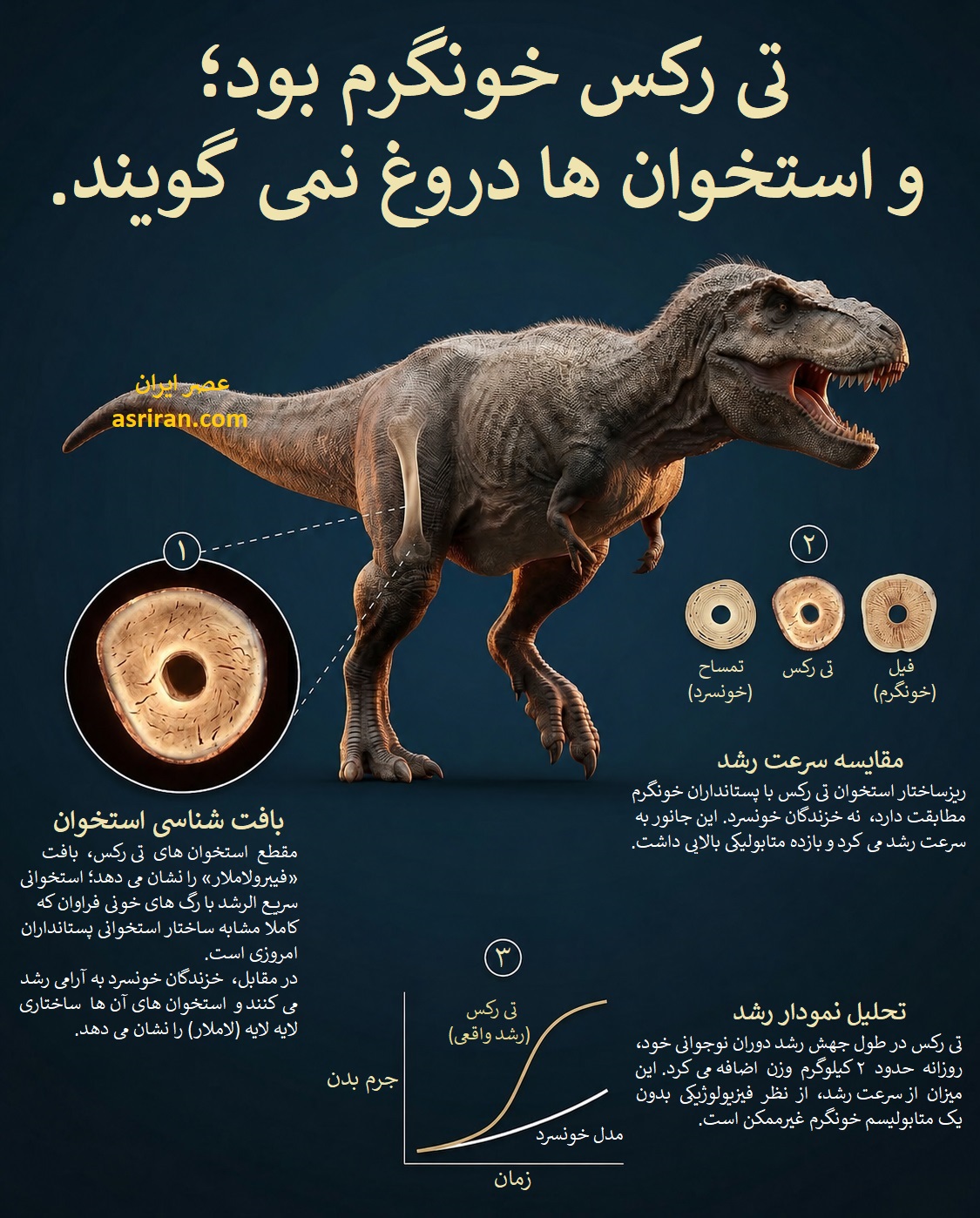 اینفوگرافیک خونگرم بودن تی رکس بر اساس بررسی استخوان