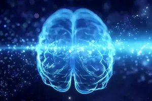 محققان: تمرینات ذهنی پیری مغز را تا ۱۰ سال معکوس می کنند