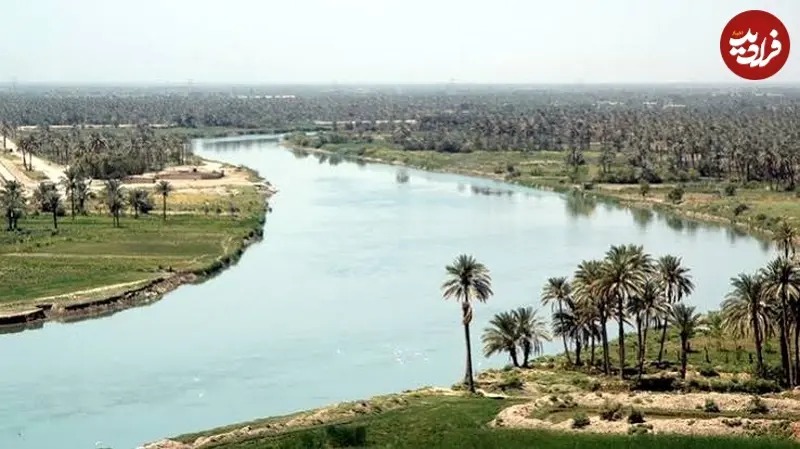 دجله