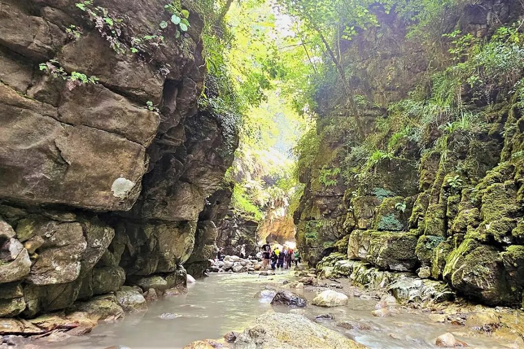 آمازون ایران؛ تنگه دار نوشهر