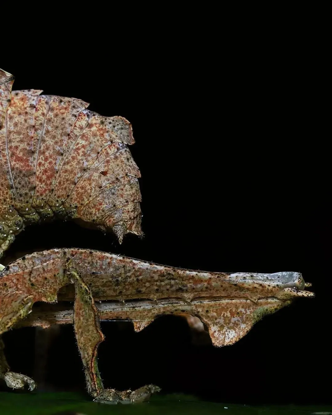 1501
