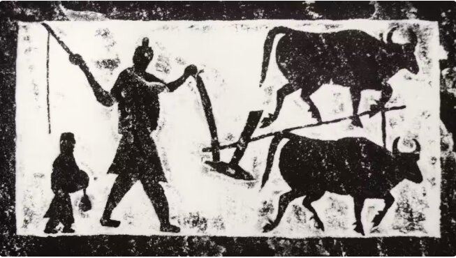  گاوآهن برگردان‌دار (مولدبورد)