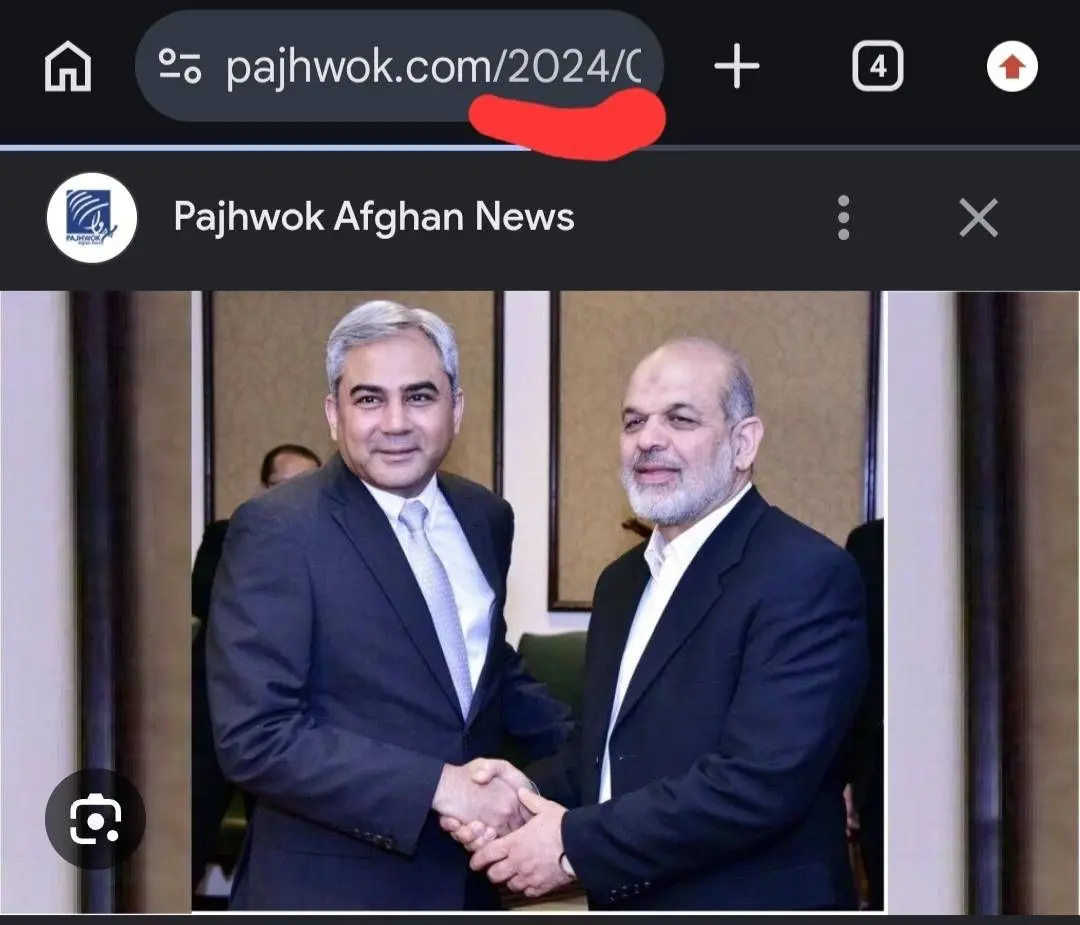 دیدار وزیر کشور ایران با وزیر کشور پاکستان
