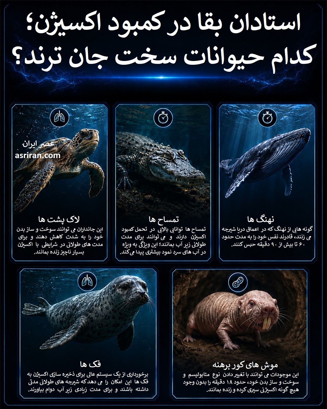 اینفوگرافیک حیواناتی که کمبود اکسیژن را بهتر هندل می کنند