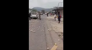 تصادف در عراق خیابان را پر از جوجه کرد