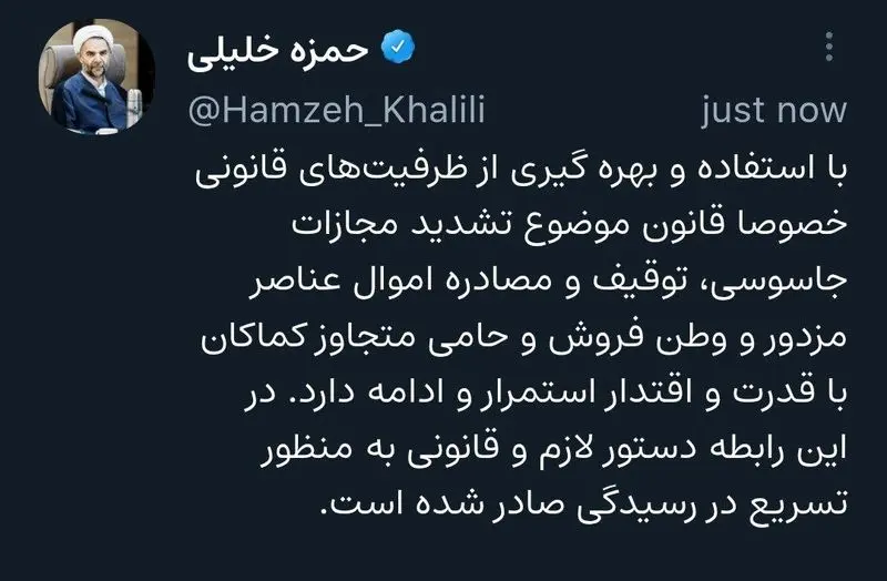 قوه قضائیه: توقیف و مصادره اموال عناصر وطن‌فروش با قدرت ادامه دارد
