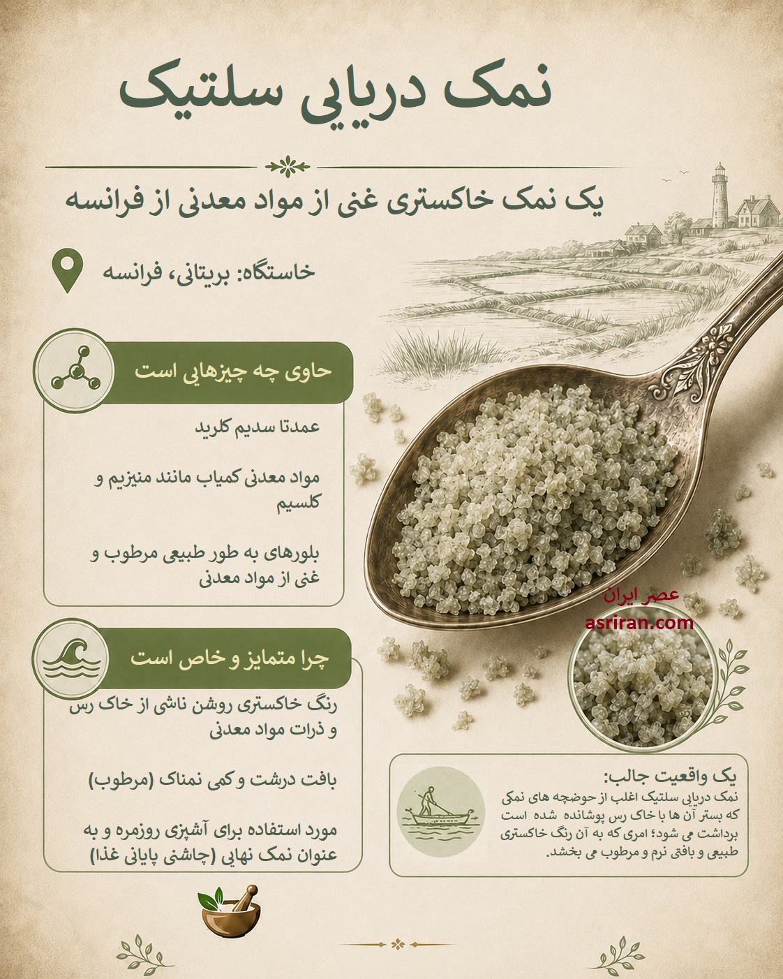 اینفوگرافیک معرفی نمک دریایی سلتیک