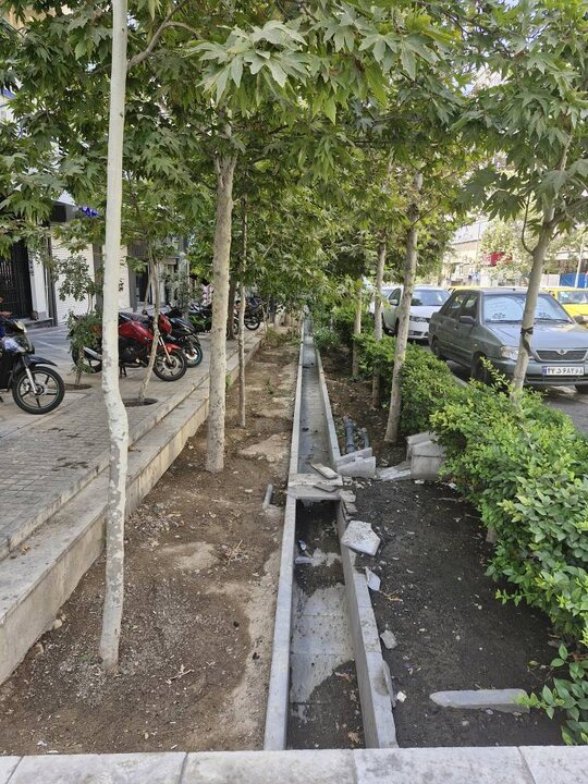 زخم تازه بر پیکر خیابان‌های تاریخی ولیعصر و فلسطین