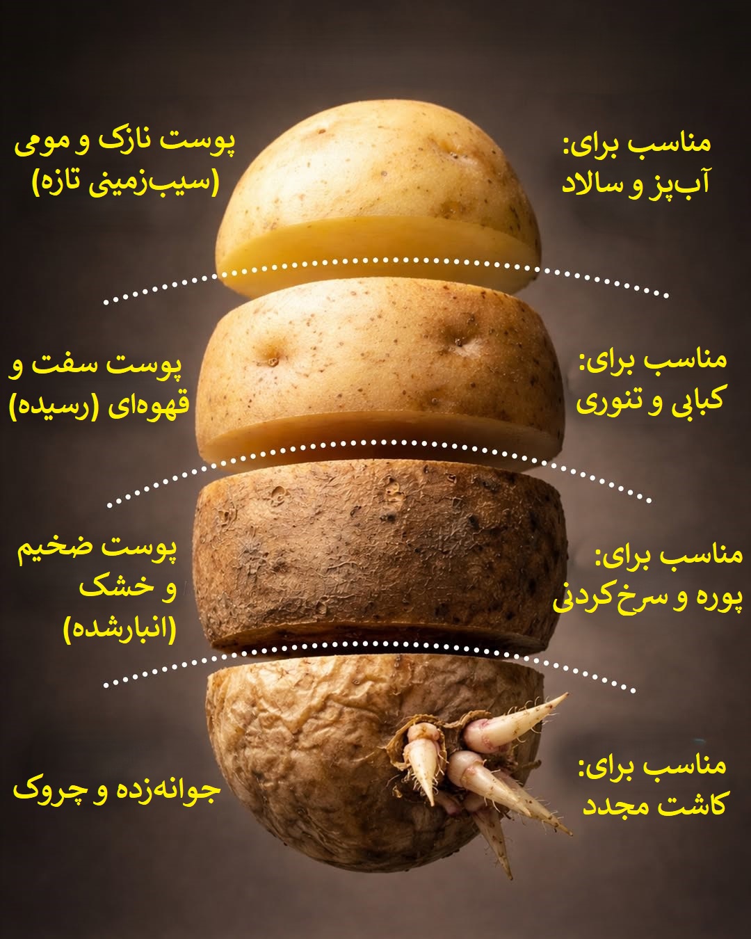 راهنمای انتخاب سیب زمینی