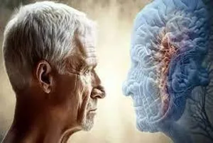 پیشگیری از پیری مغز با کاهش ۳۰ درصدی کالری