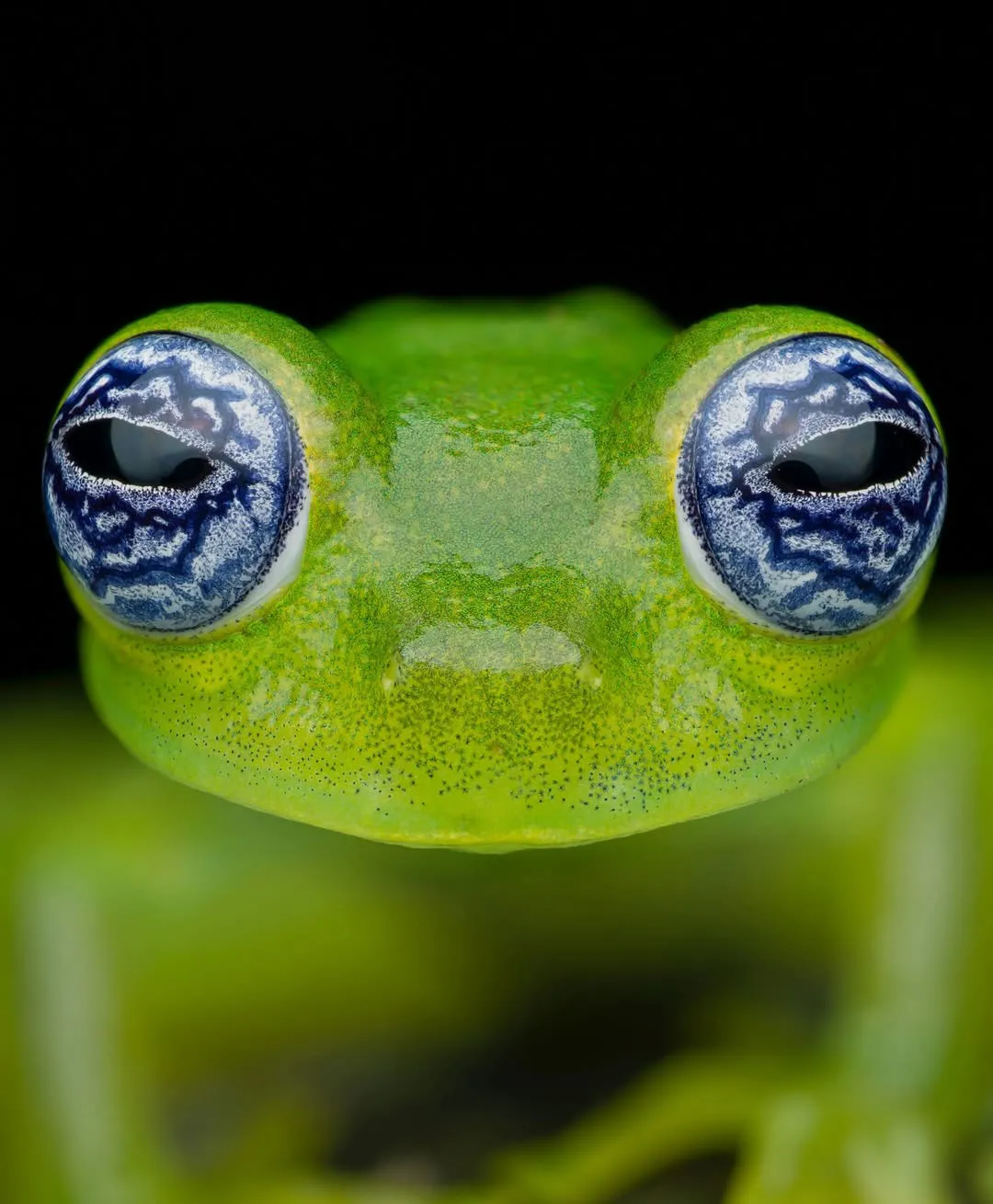 1517