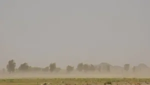 هشدار هواشناسی سیستان و بلوچستان؛ وزش باد شدید و کاهش دید تا ۲۷ مرداد