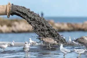 تالاب انزلی زیر تیغ پساب‌ها