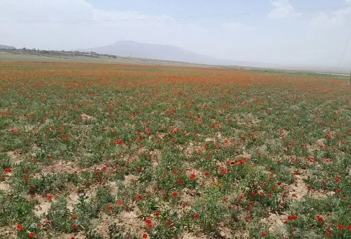 دریاچه گرمک خراسان‌شمالی