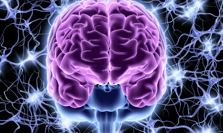 تنظیم سیستم عصبی
