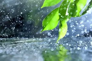 ورود سامانه بارشی به کشور طی سه‌شنبه/ آسمان این استان‌ها بارانی می‌شود