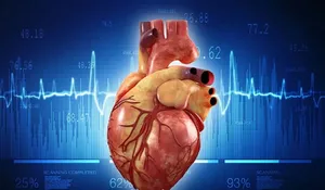 گرفتن چربی دور قلب چگونه شکل می‌گیرد؟