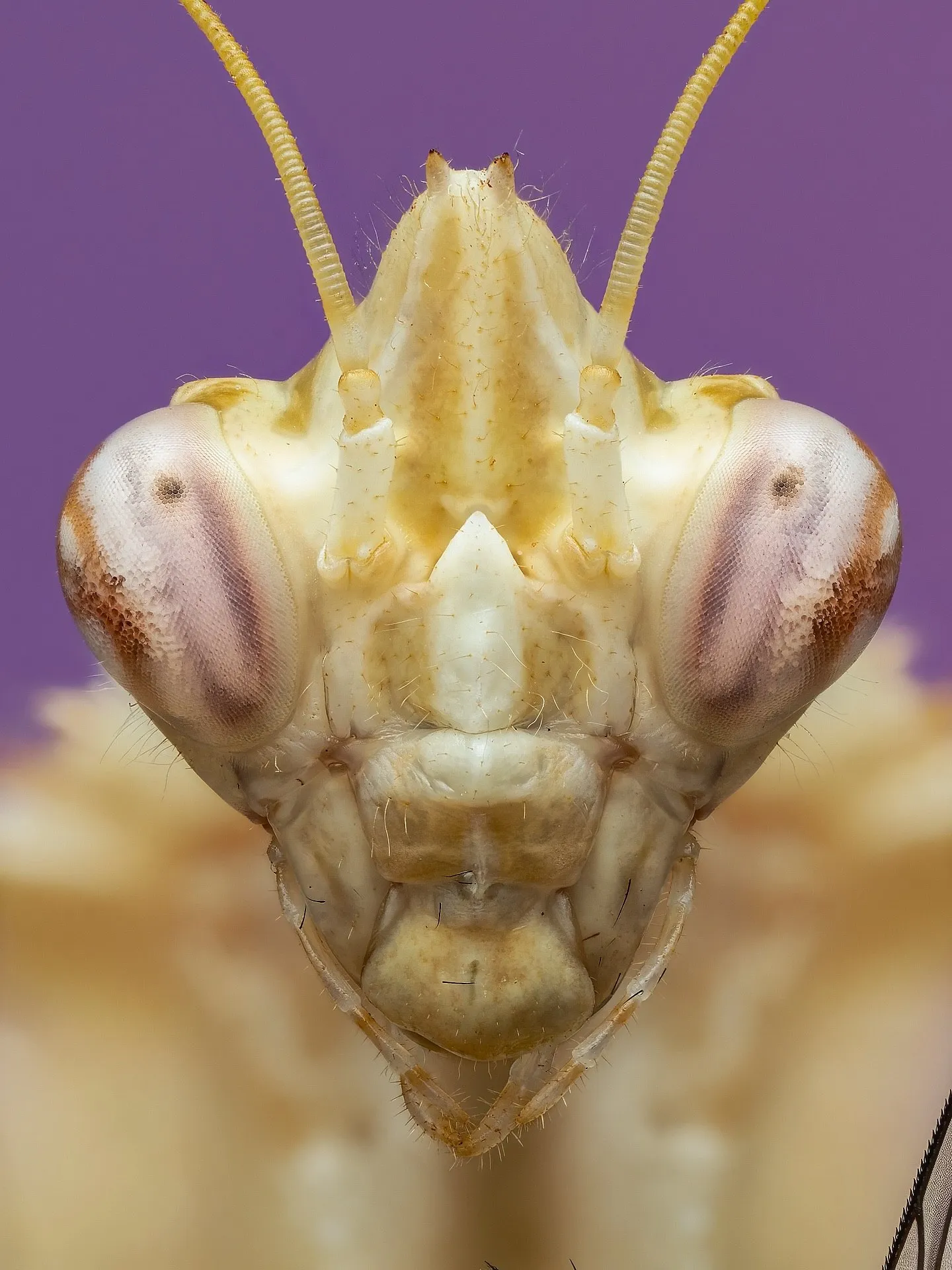 1034