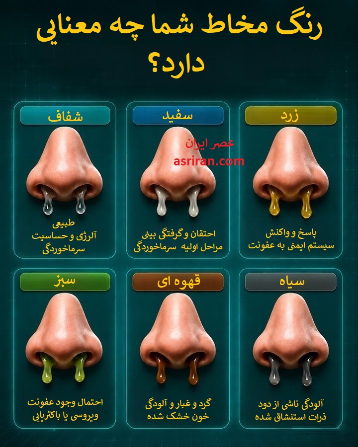 اینفوگرافیک تفاوت رنگ های مخاط بینی