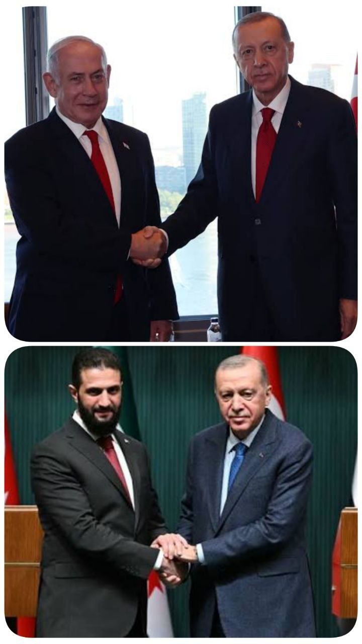کُلتِ نمادینِ اردوغان و سیاستِ هوشمندانه اش