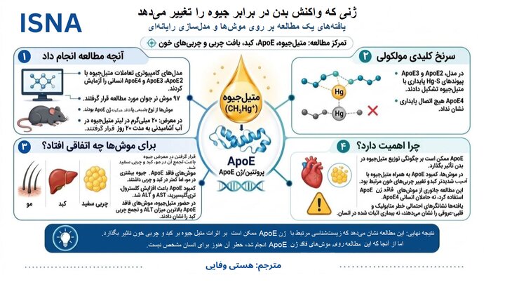 جایی که جیوه بر آن اثر می‌گذارد به ژنتیک بستگی دارد