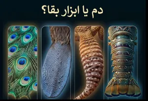 دم ؛ شاهکار مهندسی طبیعت (+اینفوگرافیک)