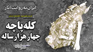 کشف کله‌پاچه چهارهزارساله در گورستانی عجیب (فیلم)